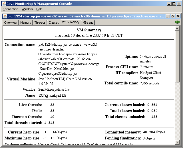 l'onglet VM Summary